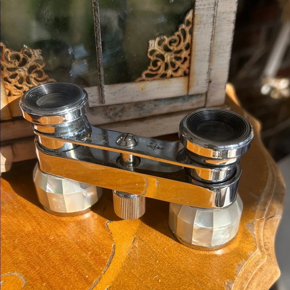 Vintage Opera Glasses with Floral Case